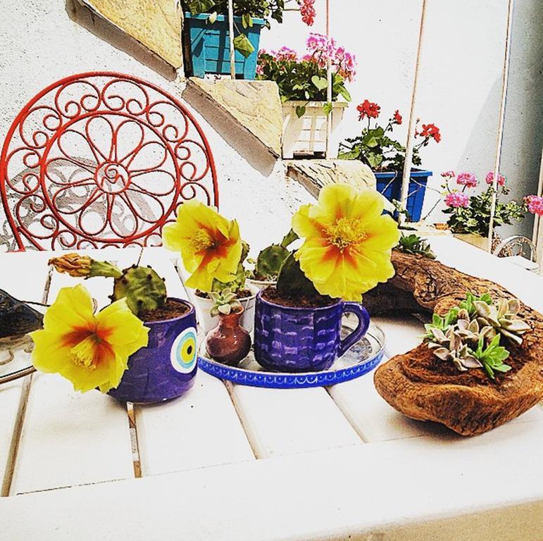 Akarsu Kalyopi Hotel Bozcaada Luaran gambar